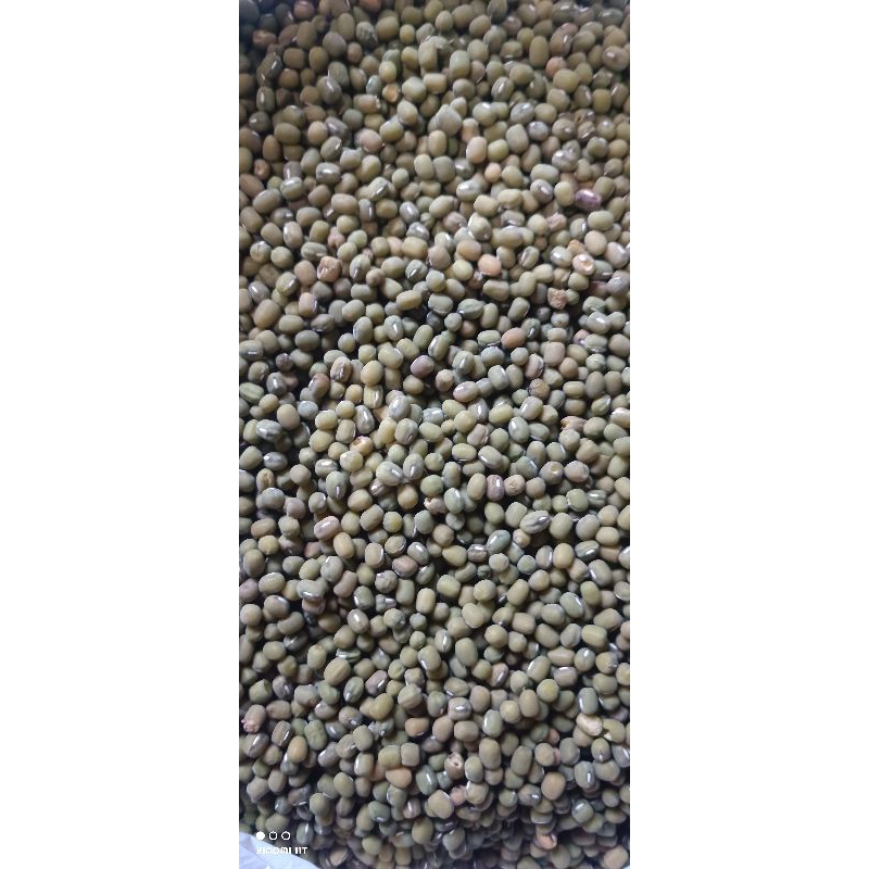 

kacang hijau ORGANIK (kemasan 500 gr, 1kg, dan 2kg)