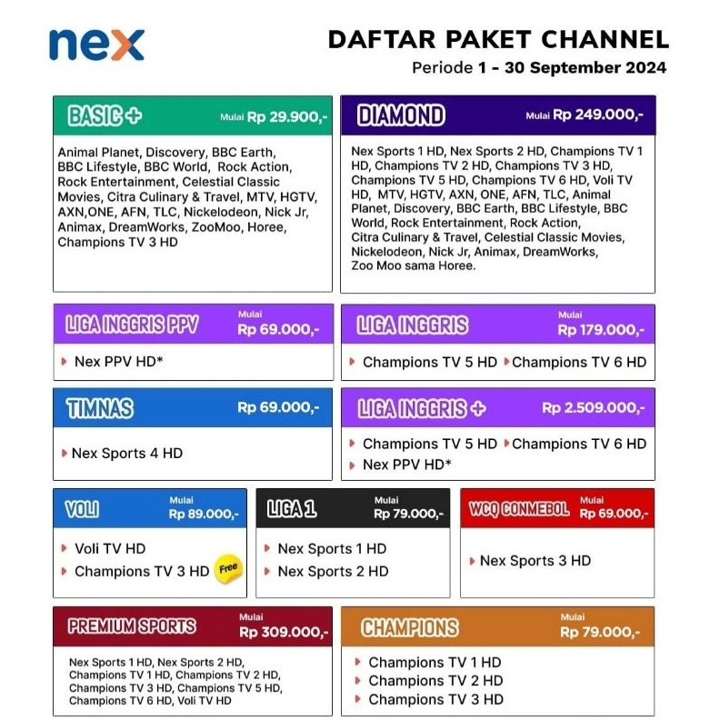 Paket Nex Parabola BASIC 1 tahun