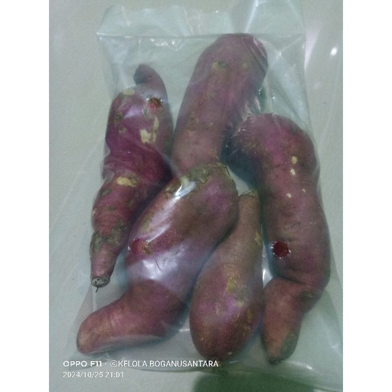 

GROSIR UBI FRESH~Berat ~ +1.000 gr~KELOLA BOGA MART