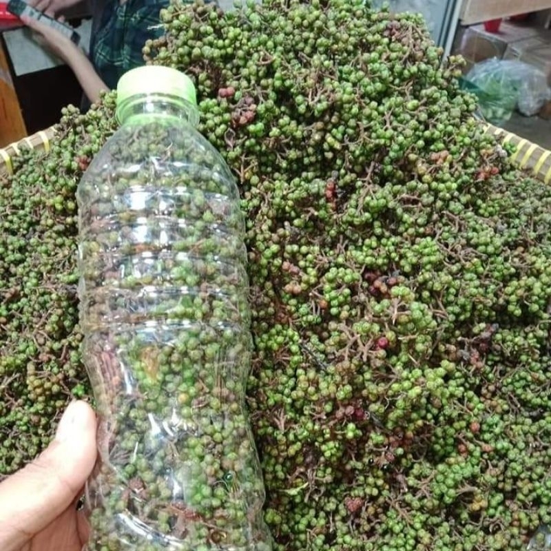 

Andaliman Segar,Asli Khas Medan Raya Simalungun 1 Kg