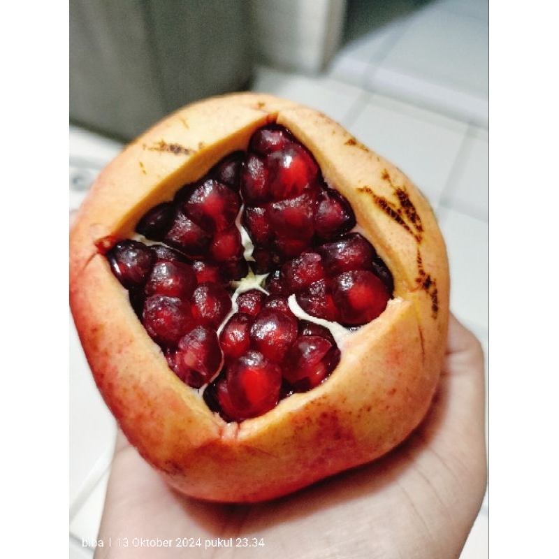 

Delima Merah Import Softseed (biji lunak)bisa dimakan