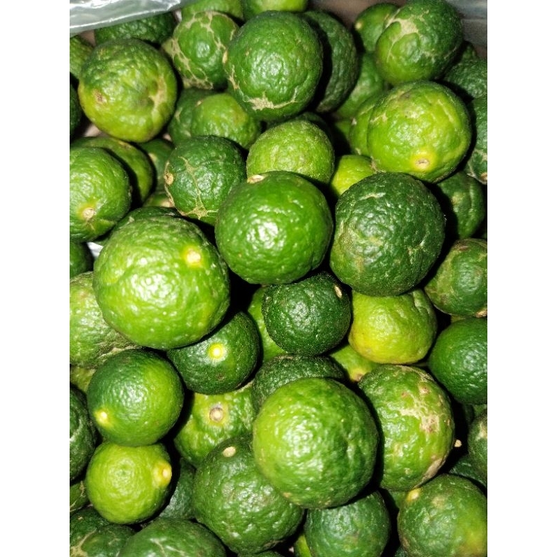 

1 kg jeruk limau hijau kwalitas super,buat sambal.