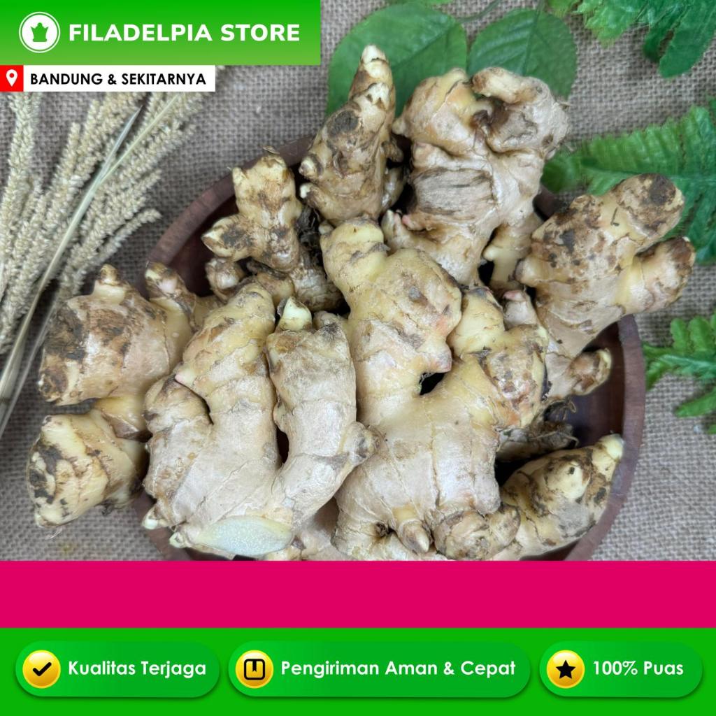 

Bumbu dapur jahe 500g promo murah diskon