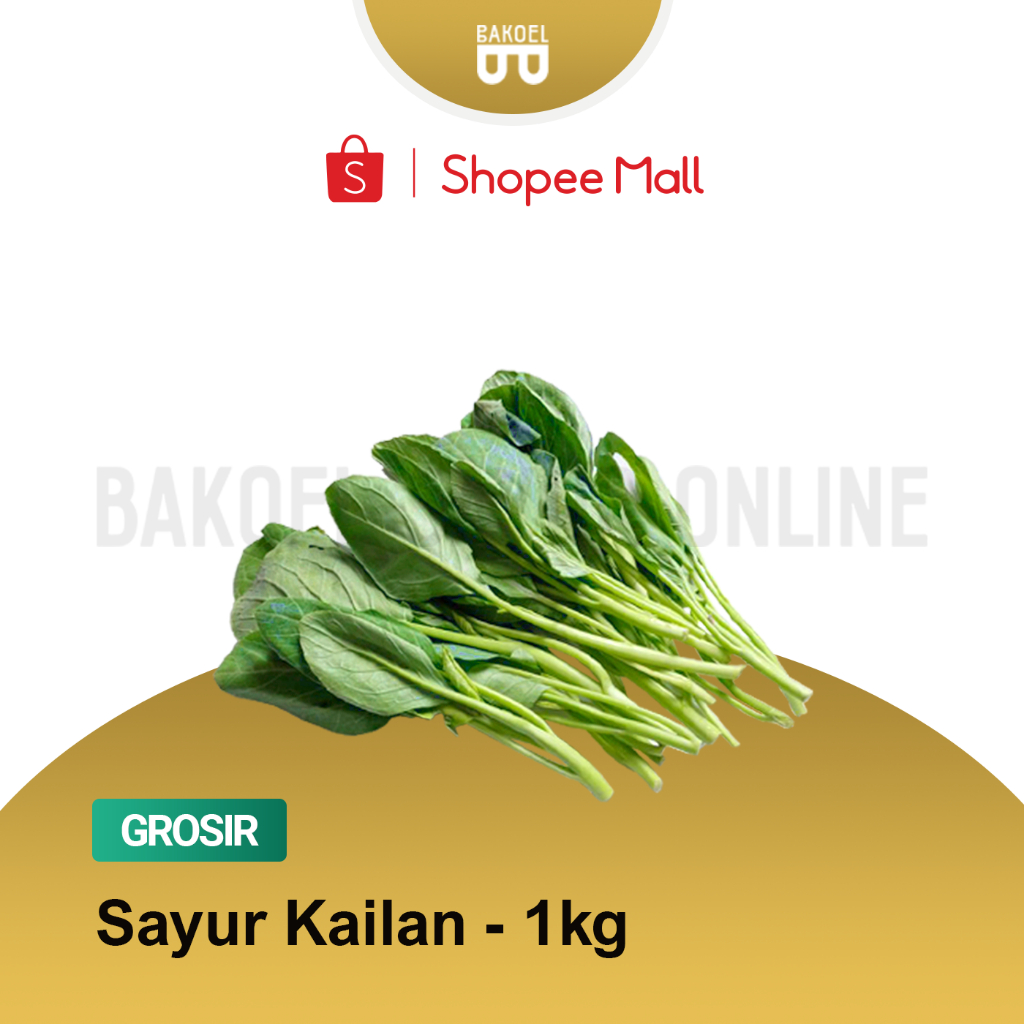 

Sayur Kailan Segar - Grosir 1 Kg