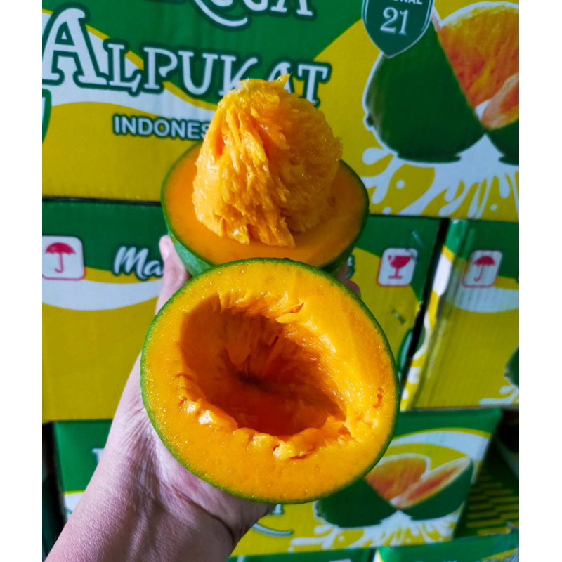 

Mangga Alpukat