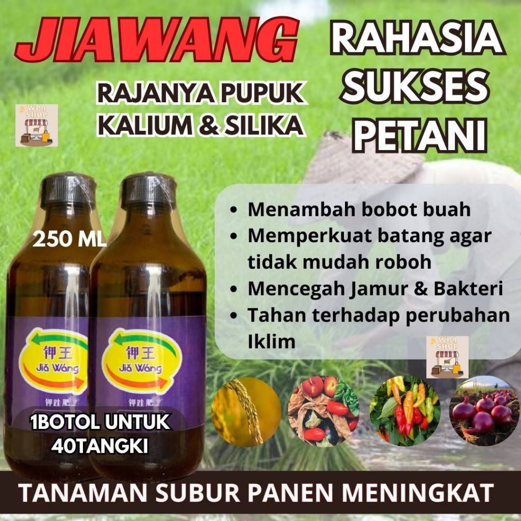 PAKET 2 BOTOL JIAWANG TERMURAH PUPUK KALIUM SILIKA MURNI JIAWANG 250 ml JIA WANG
