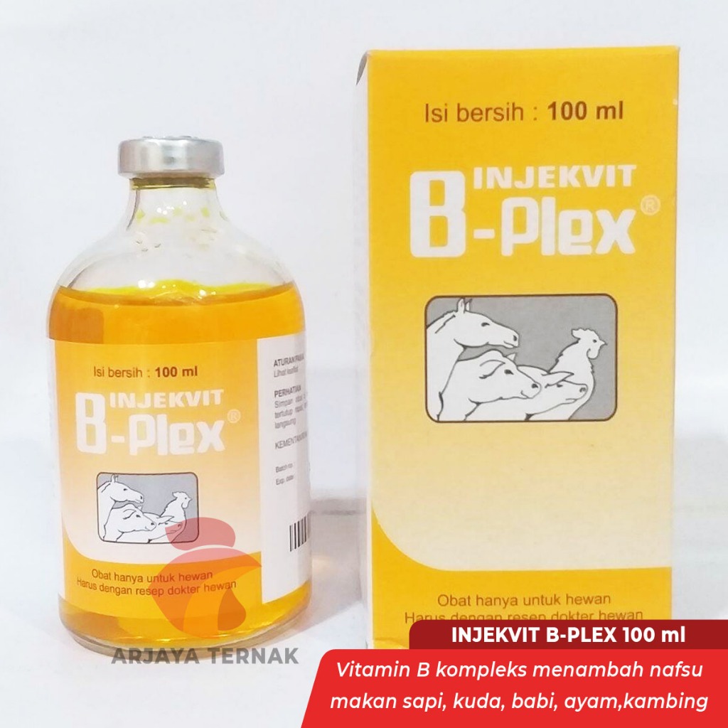 Injekvit B Plex 100ml Vitamin B Kompleks Vitamin B Complex B Komplek Medion Menambah nafsu makan unt