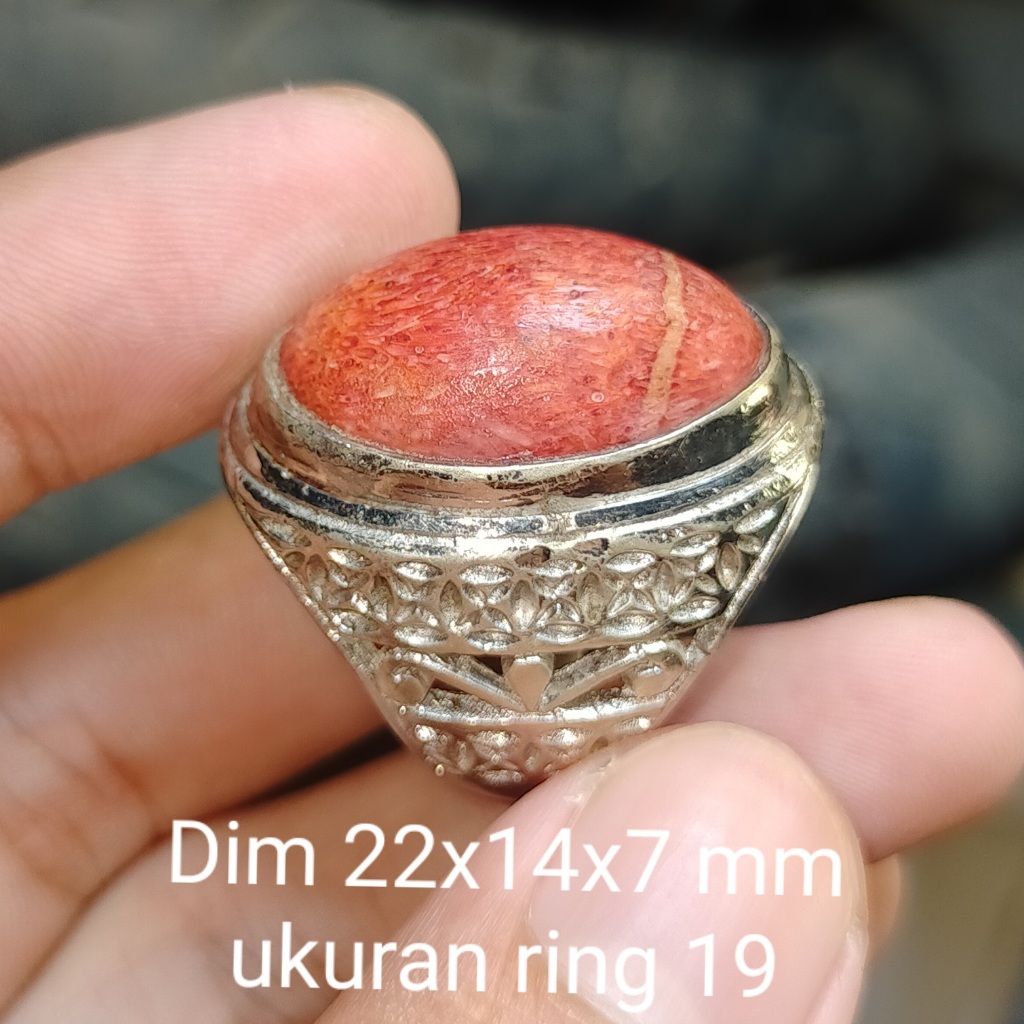 BATU ANTIK AKAR BAHAR MERAH ASLI NATURAL cek batu lainnya yaman api wulung opal bacan amethys kalima