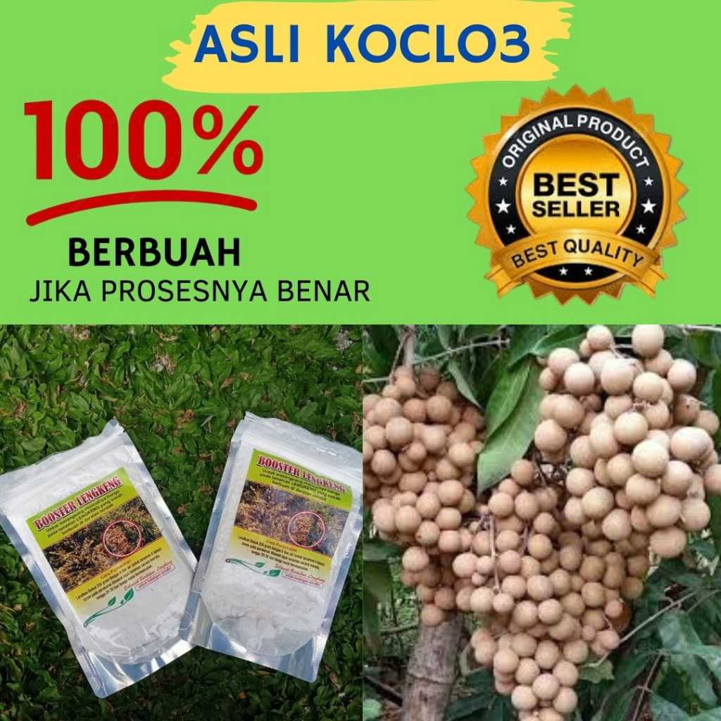 JAMIN ASLI.. Booster kelengkeng kclo3 murni