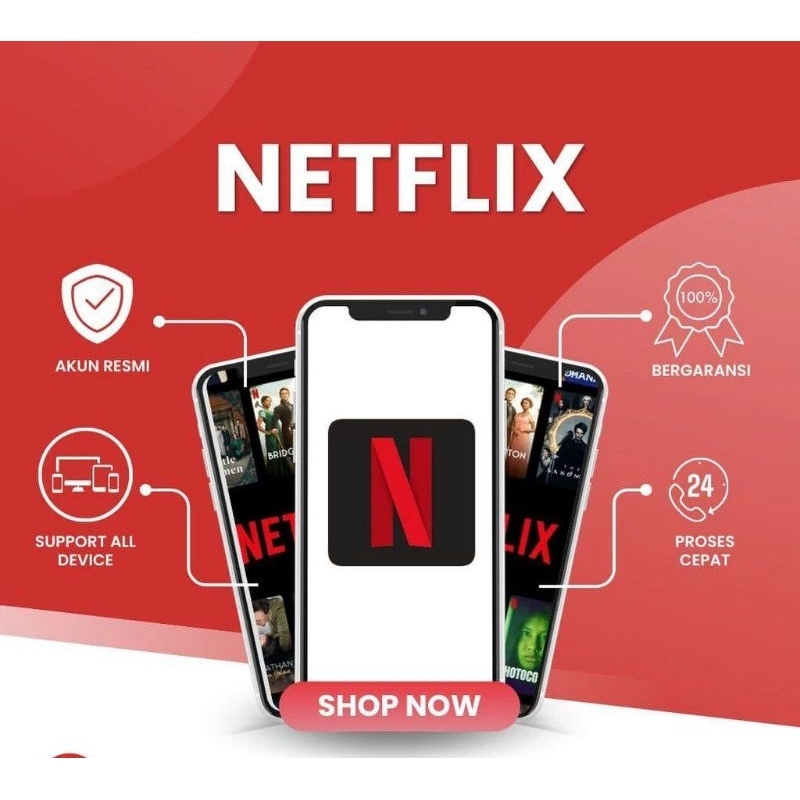Netflix 1 bulan private