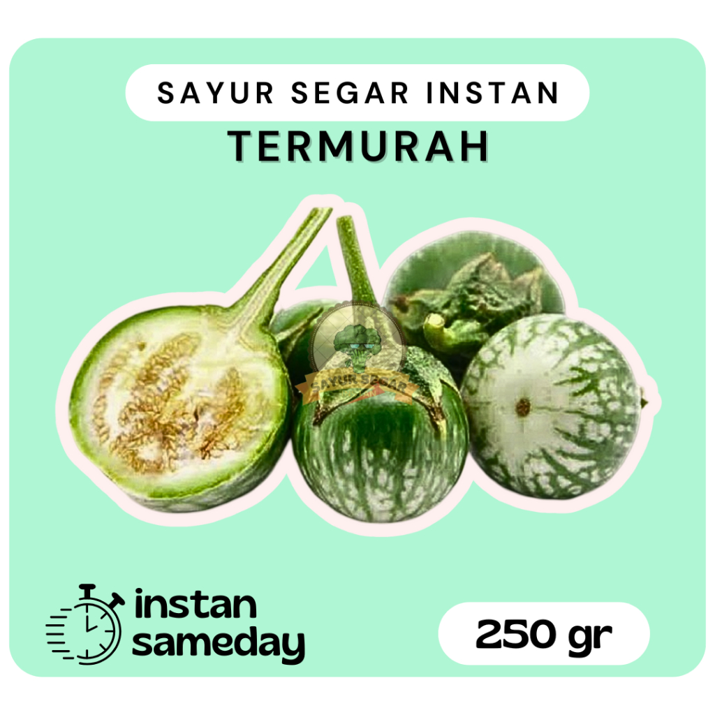 

Terong Lalap/Terong Bulat Hijau 250gr - Sayursegarinstan