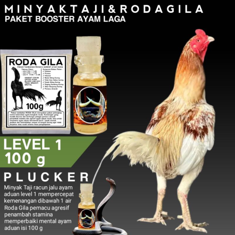 Rawatan ayam plucker anti kalah