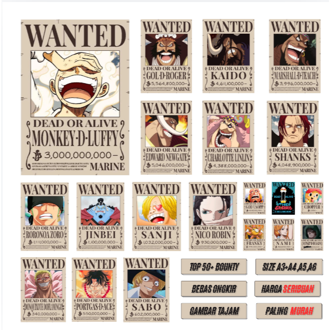 Poster Bounty One Piece SIZE A5+ Poster Wanted One Piece Poster One Piece
