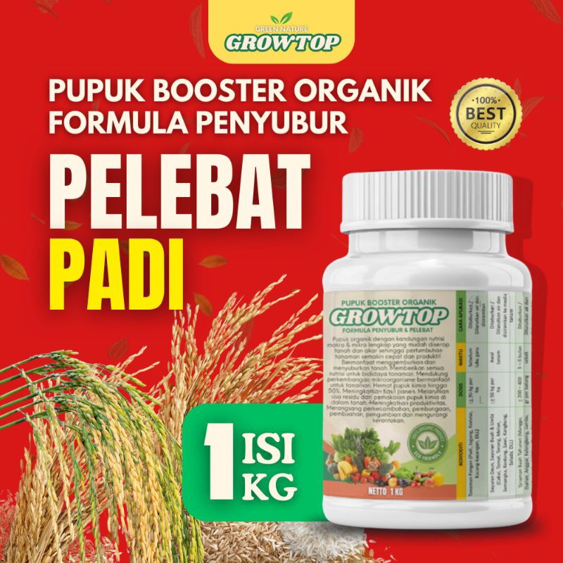 Pupuk Pelebat Padi dan Booster Perangsang Padi di Sawah Supaya Cepat Berbuah Super Lebat -Growtop