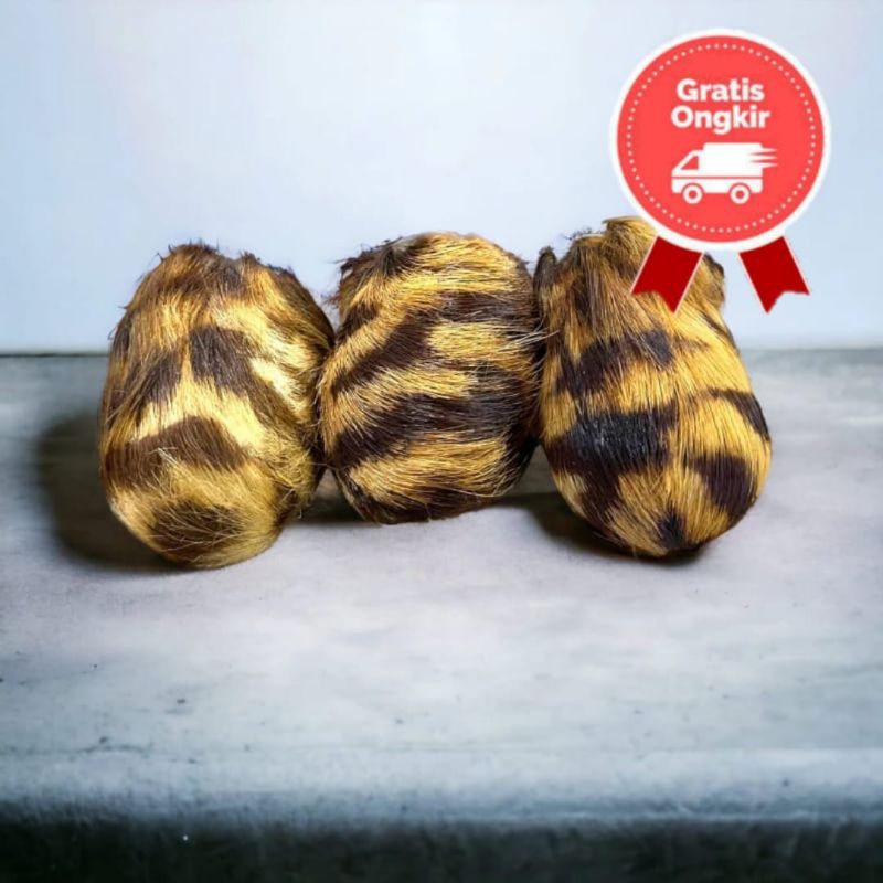 Barang antik Kantong macan loreng asli