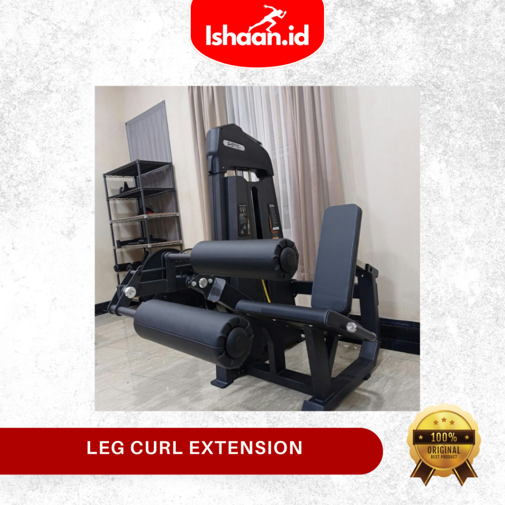 leg curl extension DHZ equipment komersial fitness (FITNESS IMPORT)