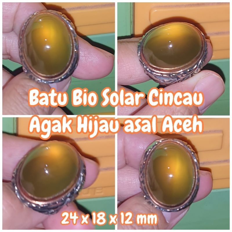 cincin batu bio solar aceh jenis cincau