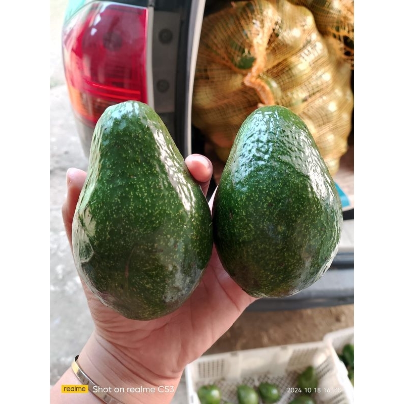 

alpukat mentega legit