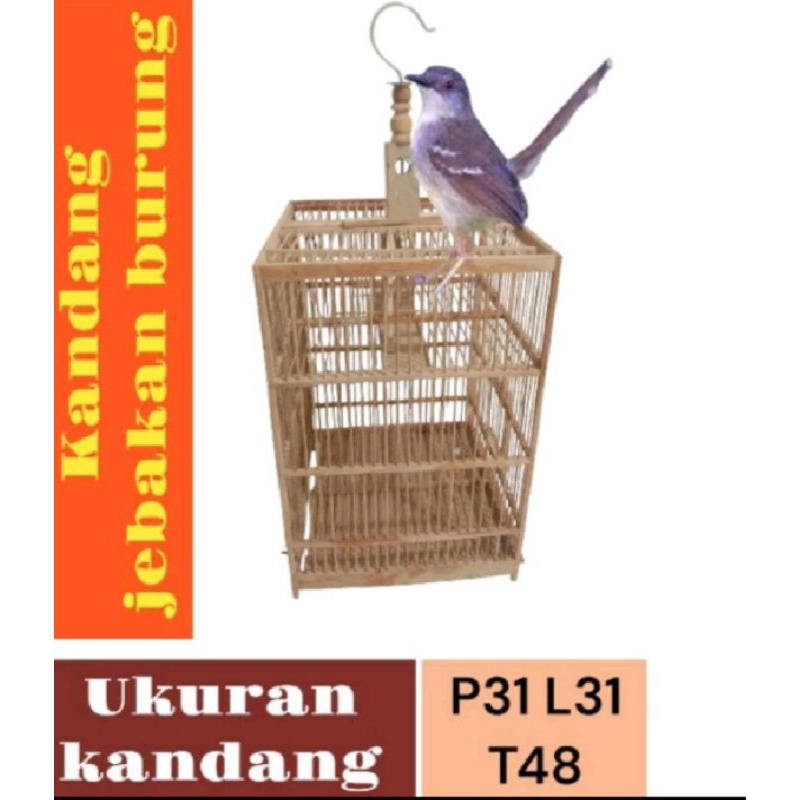 kandang jebakan burung