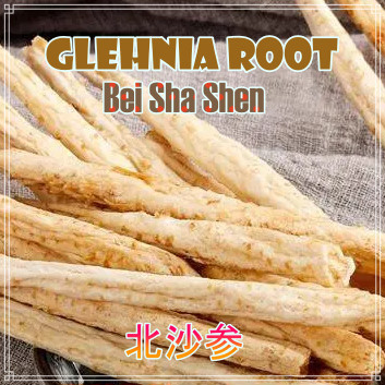 

BeiShaShen Glehnia Root