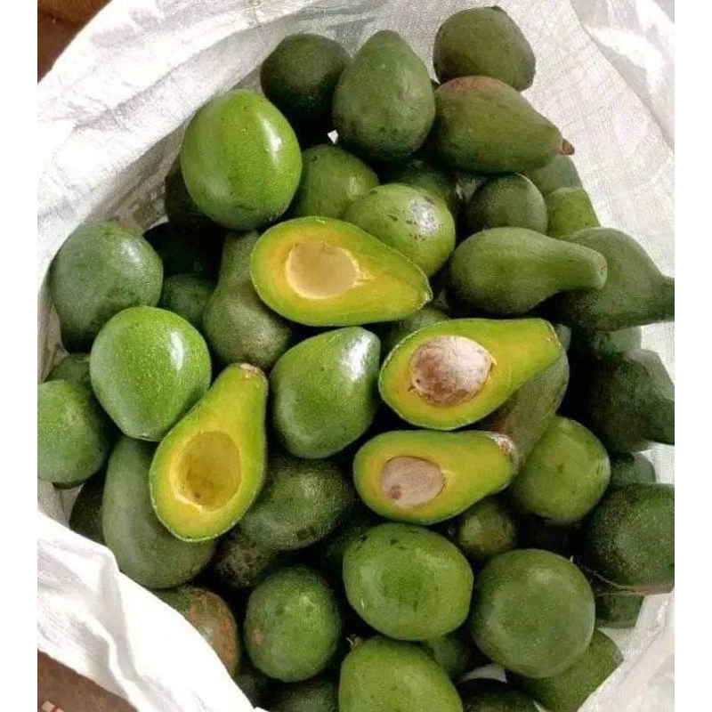

Alpukat mentega 1 kg