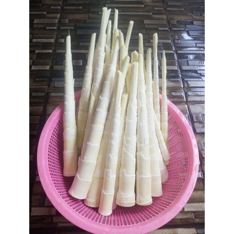 

NOB Rebung Fress Enak Buat Tumis Masak Santan