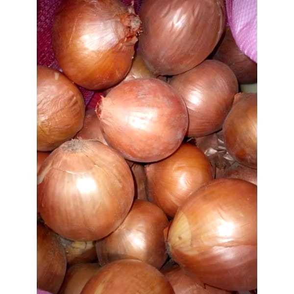 

BAWANG BOMBAY 500 GR DAN 1 KG