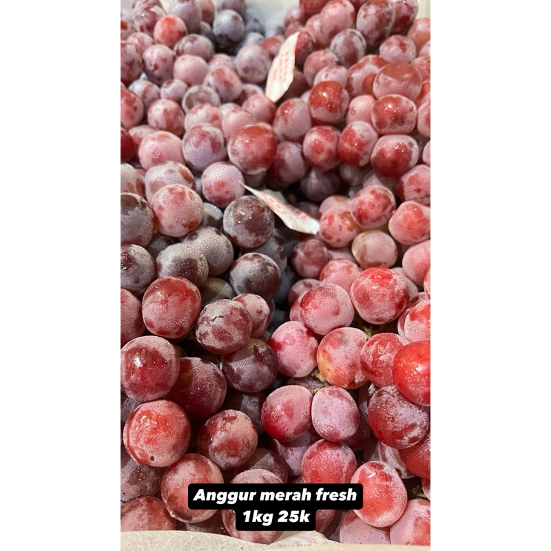 

Anggur merah fresh