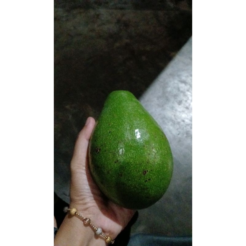 

ALPUKAT MENTEGA LERENG MEMBABU LEGIT DAN PULEN || 1 KG ISI 3