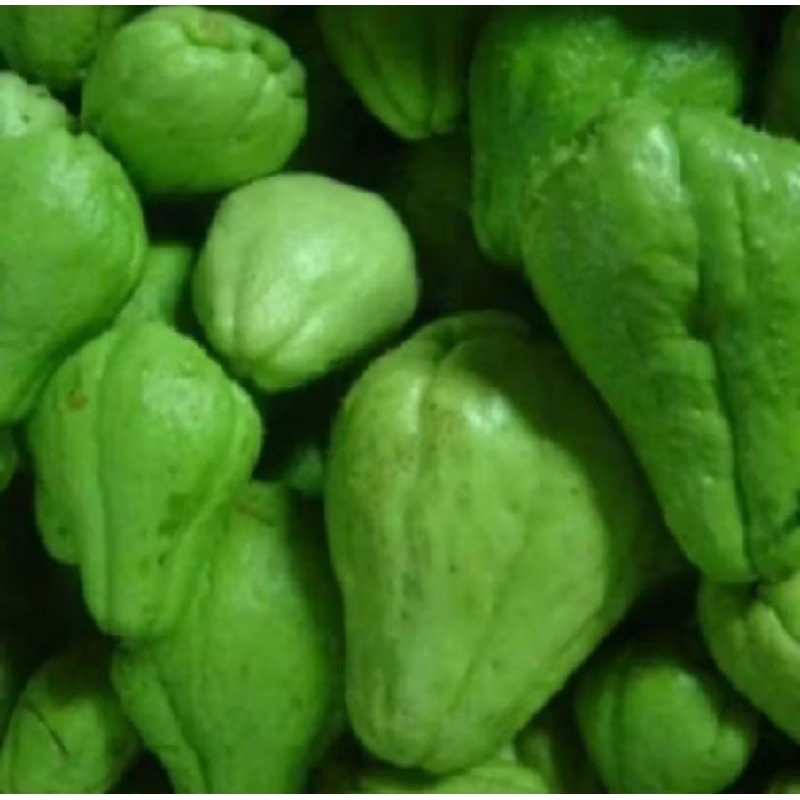 

sayur Labuh Siam segar 1 kg