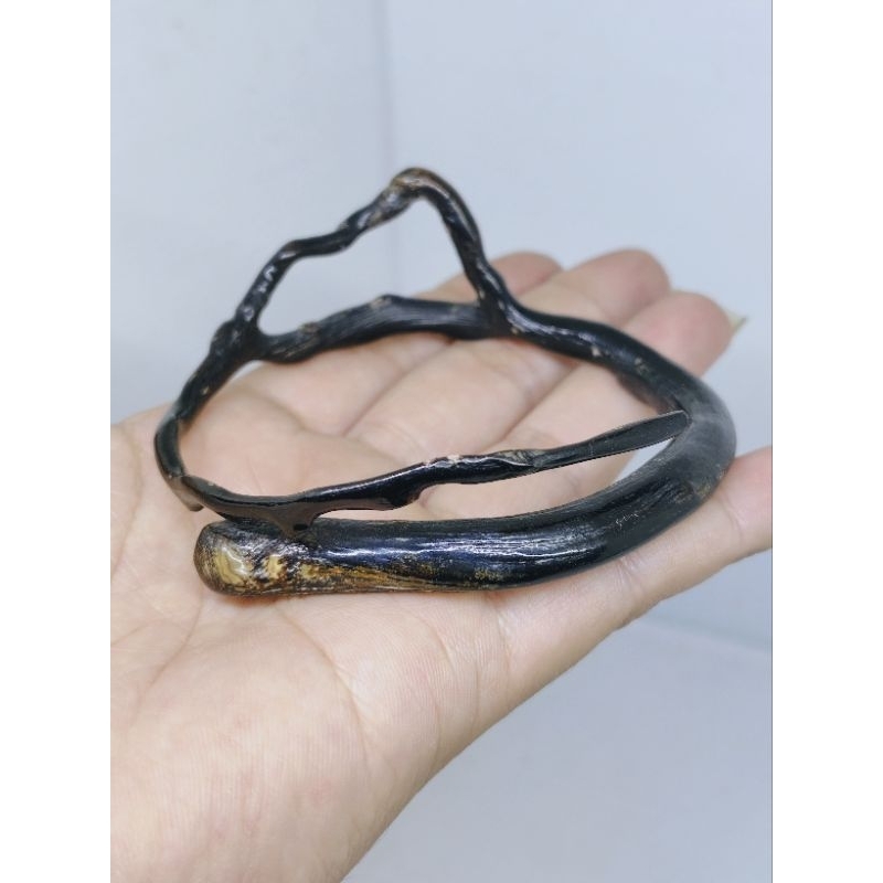 AKAR BAHAR HITAM COMBONG GUNUNG MAHAMERU