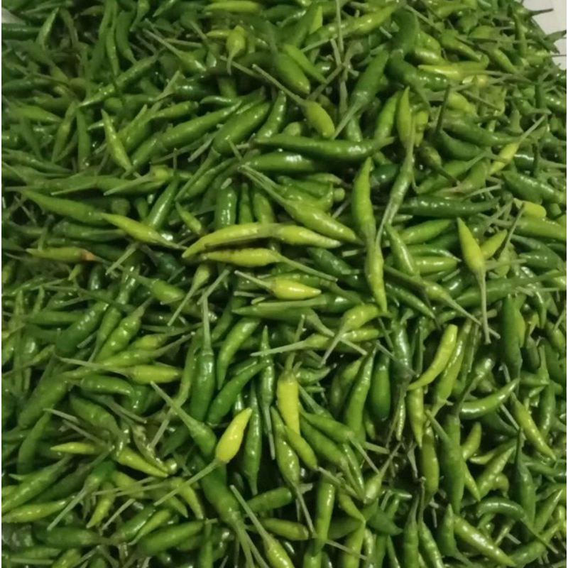 

Cabe Rawit Hijau 250gr, 500gr, 1Kg