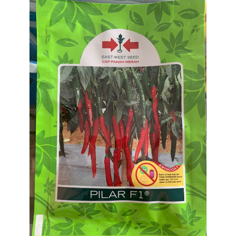 Pilar F1-benih lombok besar