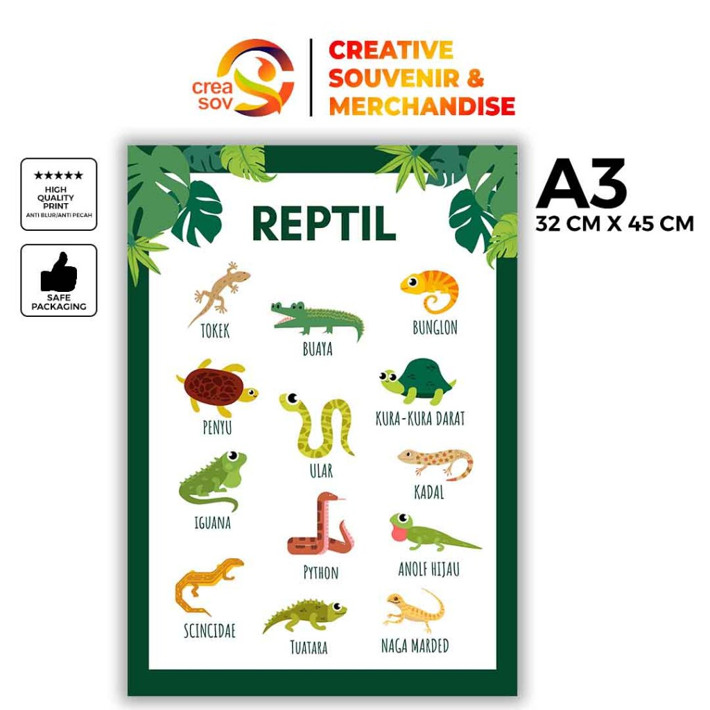 Creasov - Poster Hewan Reptil Poster Edukasi Hewan Poster Reptil Edukasi Anak TK SD 32 x 45 cm