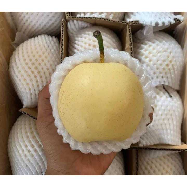 

BUAH PEAR PIR CENTURY 1KG