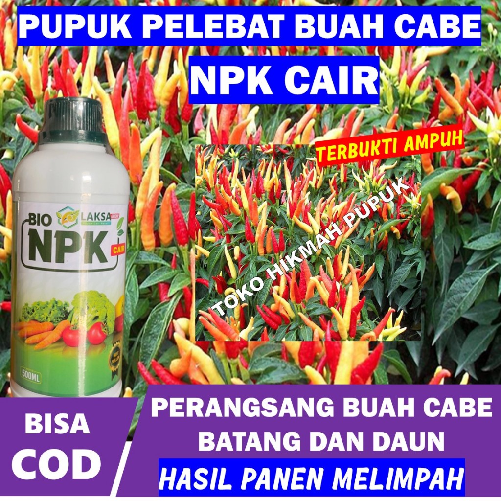 TERLARIS Pupuk NPK MEMPERBANYAK BUAH CABE BESAR CEPAT BERBUAH NPK CAIR LAKSA Obat Semprot NPK Cair P