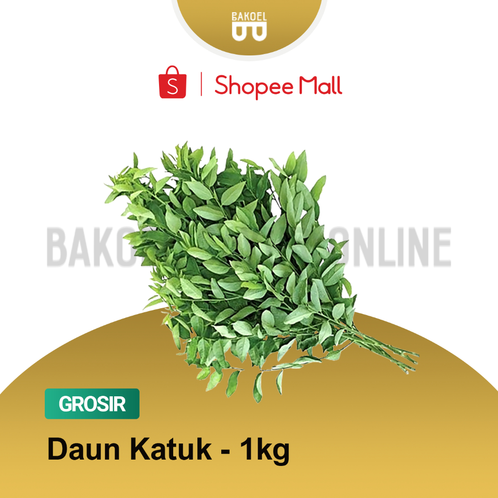 

Daun Katuk Segar - Grosir 1 Kg