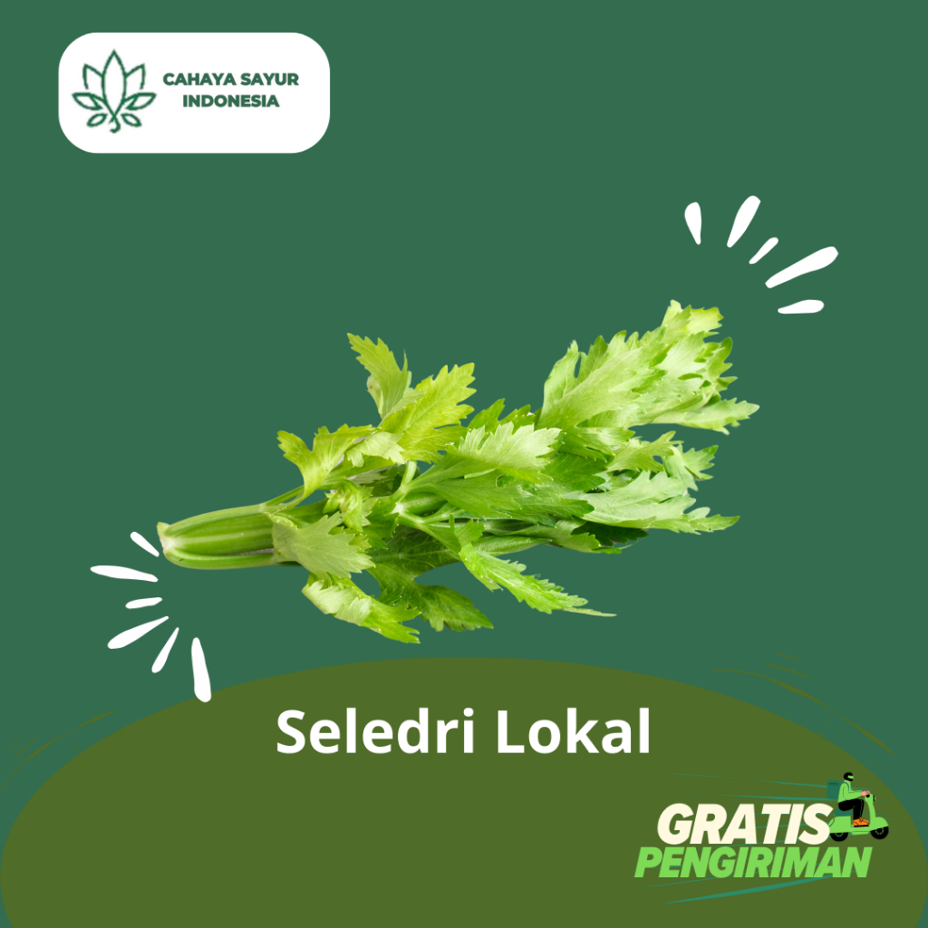 

Sayur Seledri / Seledri Lokal Segar 1kg + Gratis Ongkir