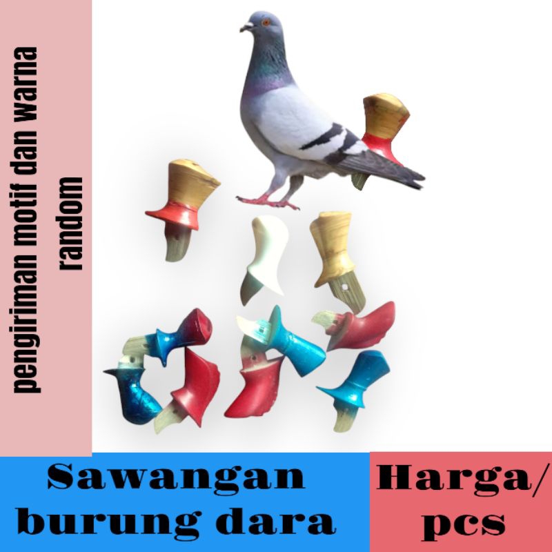 sawangan burung dara