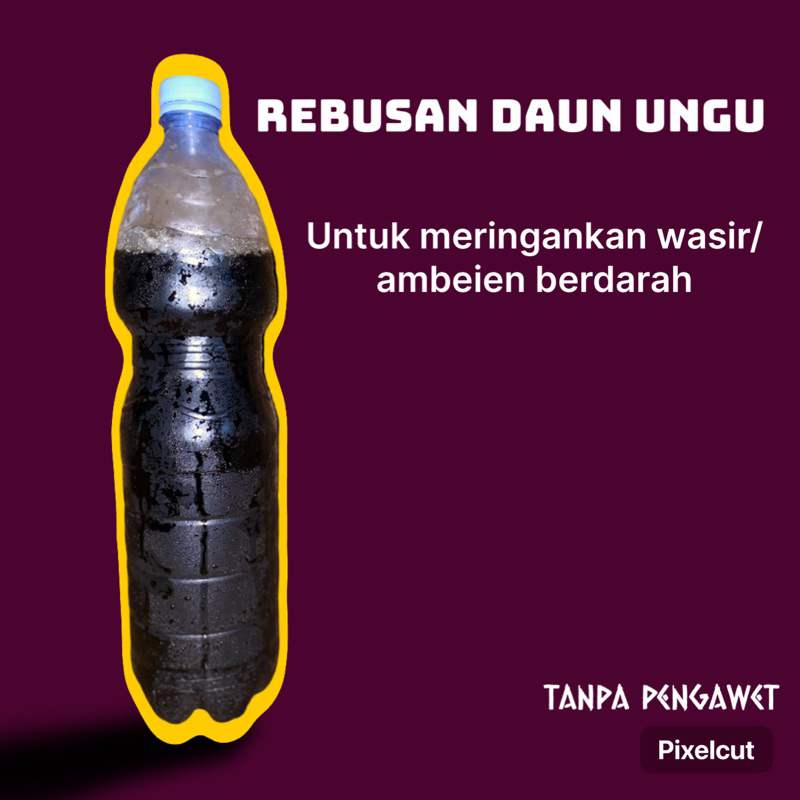 

REBUSAN DAUN UNGU untuk WASIR