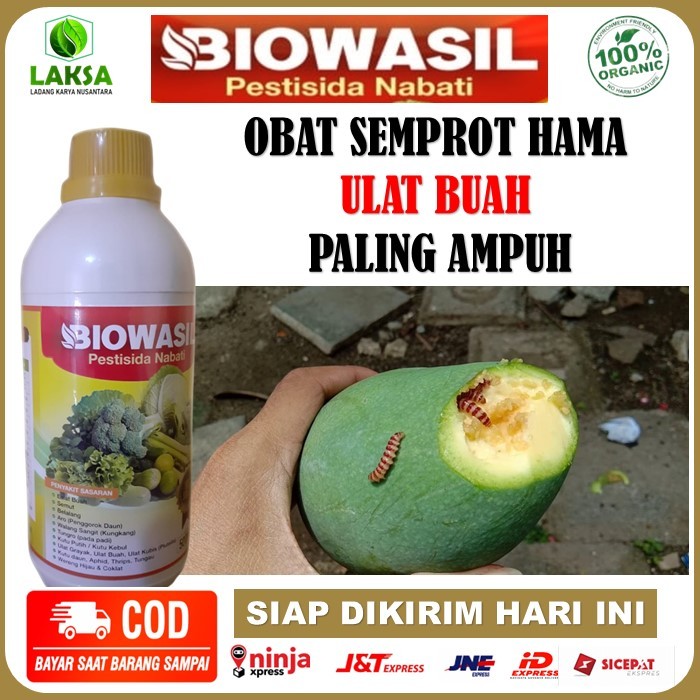 pupuk terbaik Pestisida Hayati Biowasil Obat Mengatasi Hama ulat buah, Pada Tanaman Lainnya, Paling 