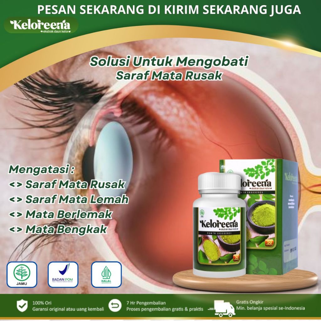 Keloreena - Obat Saraf Mata Rusak, Saraf Mata Putus, Mata Bengkak, Mata Minus, Glukoma