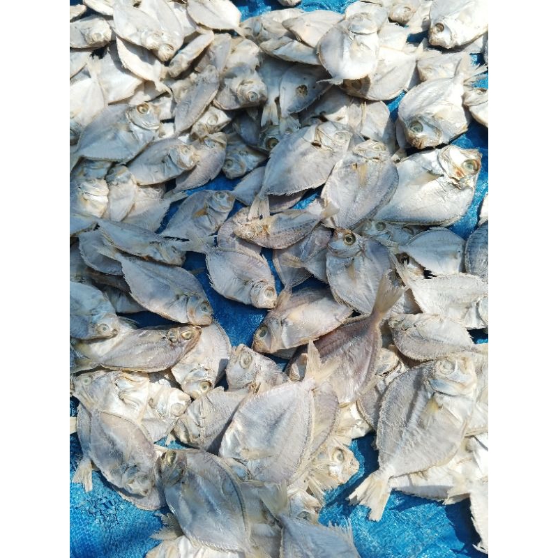 

ikan asin petek sedang 500gram |ikan asin murah
