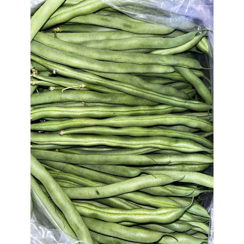 

Buncis (250gr)
