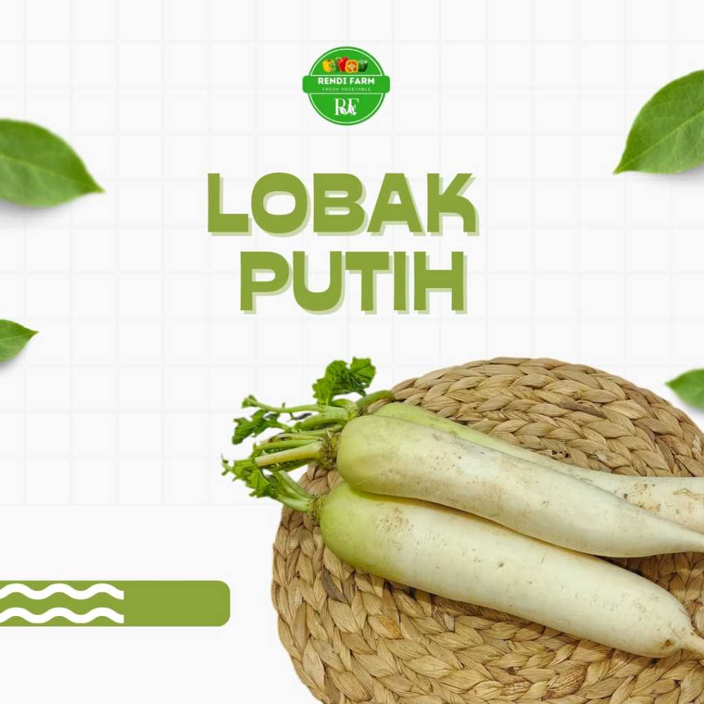 SAYUR LOBAK / LOBAK PUTIH / LOBAK