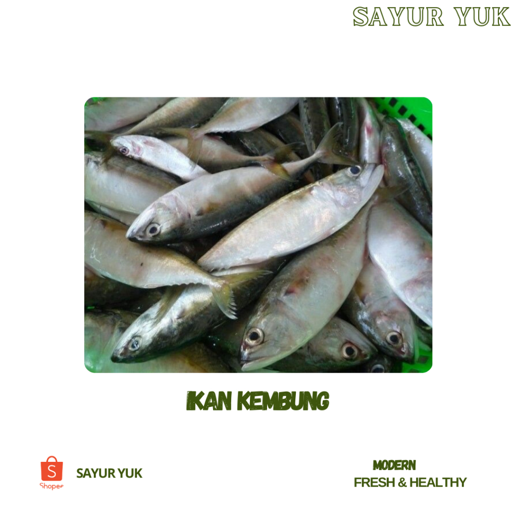 

Ikan Kembung Segar [500 gr]