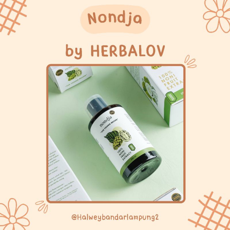 

NONDJA HERBALOV (Fermentasi buah mengkudu / buah noni) 250ml [AGEN RESMI]