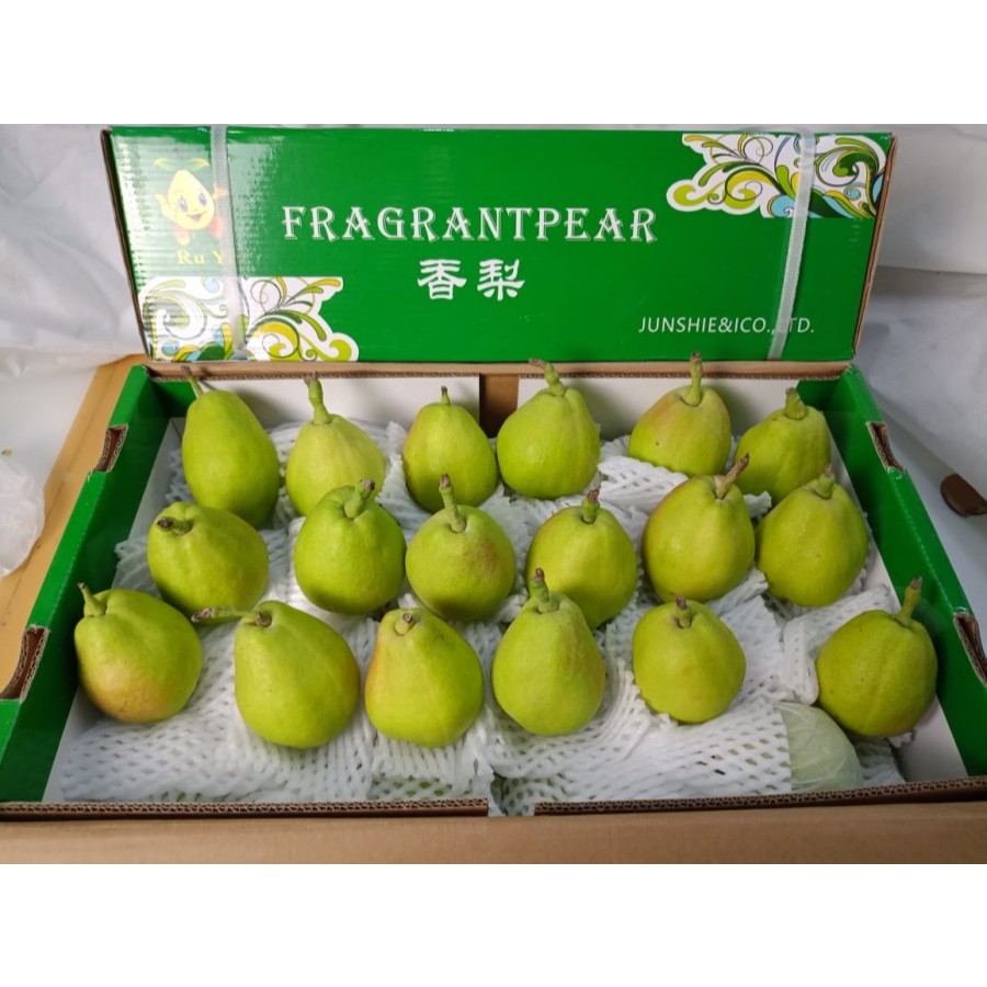 

Buah Pir / Pear XIANG LIE Fresh Import 1 Dus / Box / Keranjang SEGAR DAN BERKUALITAS