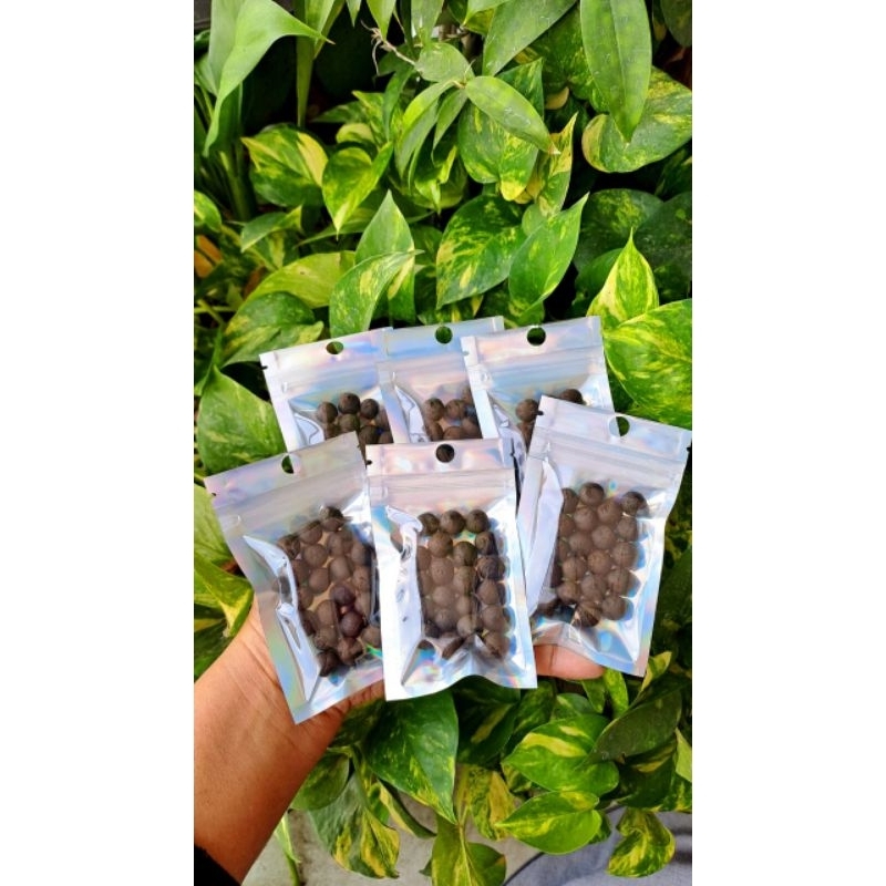 obat tedun/lumpuh BIO ONE