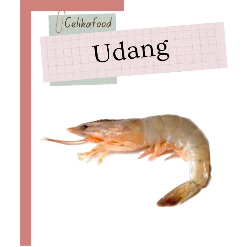 

Udang Vaname 250 gr Putih Raja Shrimp Seafood Prawn Fresh Pasar - Tanpa Vacuum